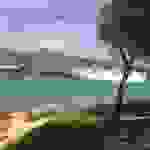 vin3