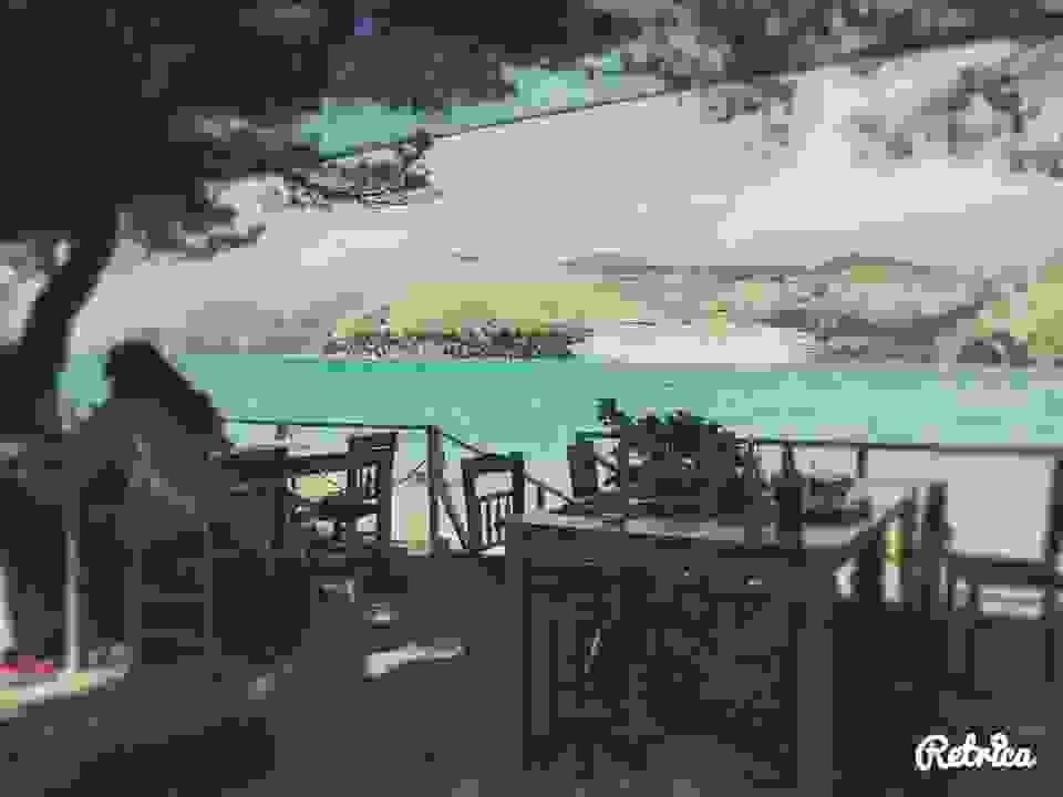 Vin