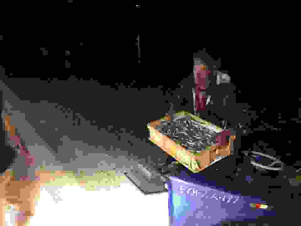 Vin6