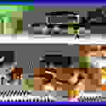 zax17