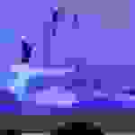 a109
