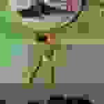 a117