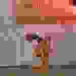 a77