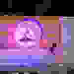 a91
