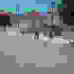 alex1