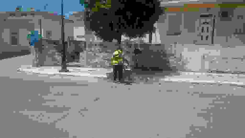 alex3