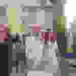 alex3