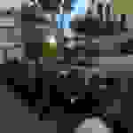 alex4