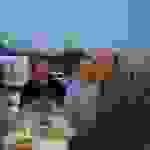 alex6