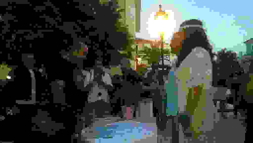 alex6