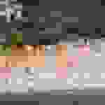 an1