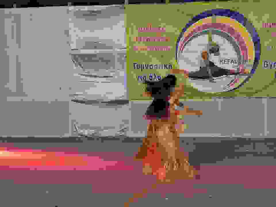 an1