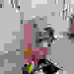 an12