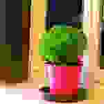 an13