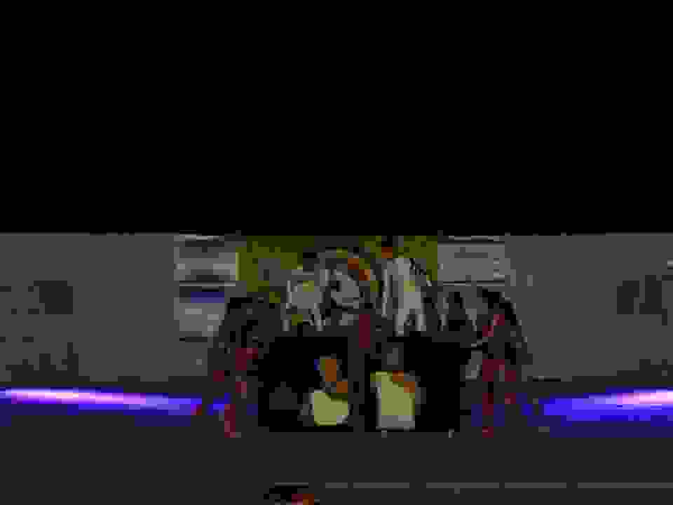 an13