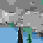 an1
