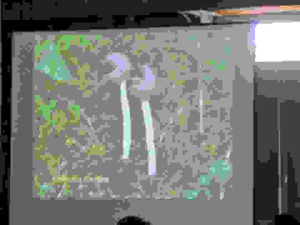 an15