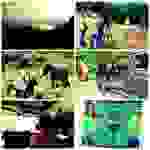 an1
