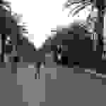 an