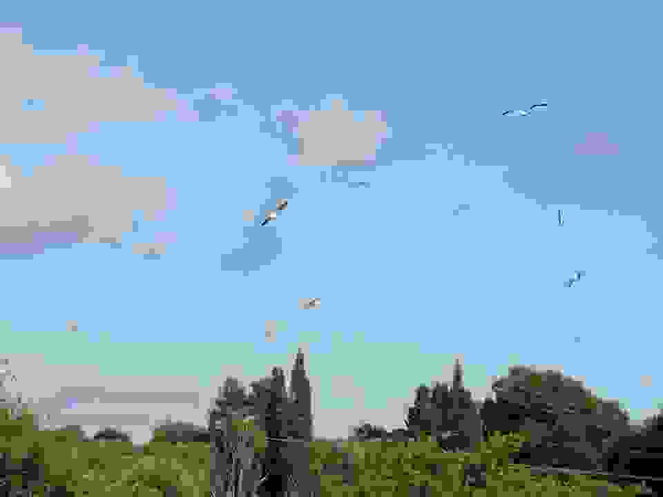 an