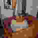 an19