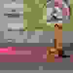 an2