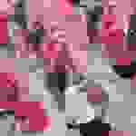 an21