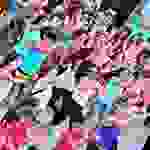 an2