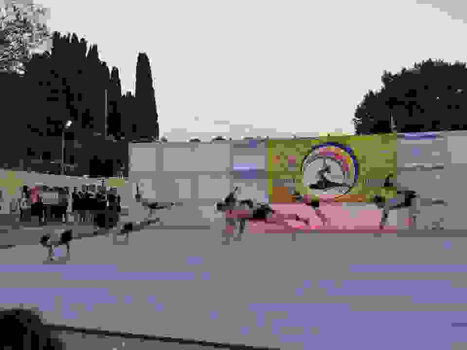 an