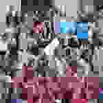 an29