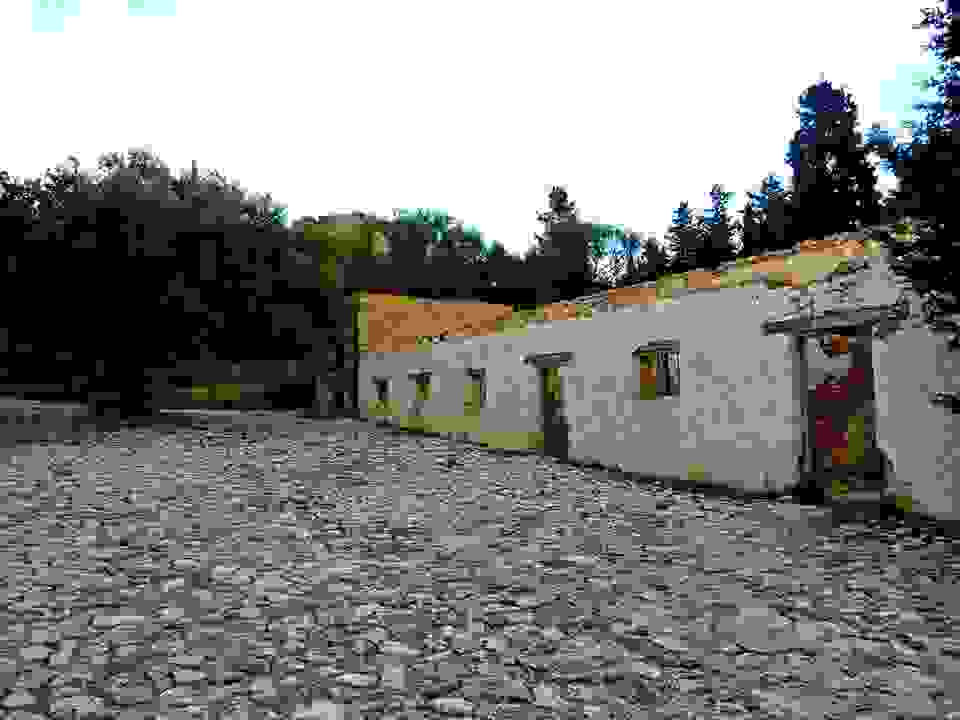 an31
