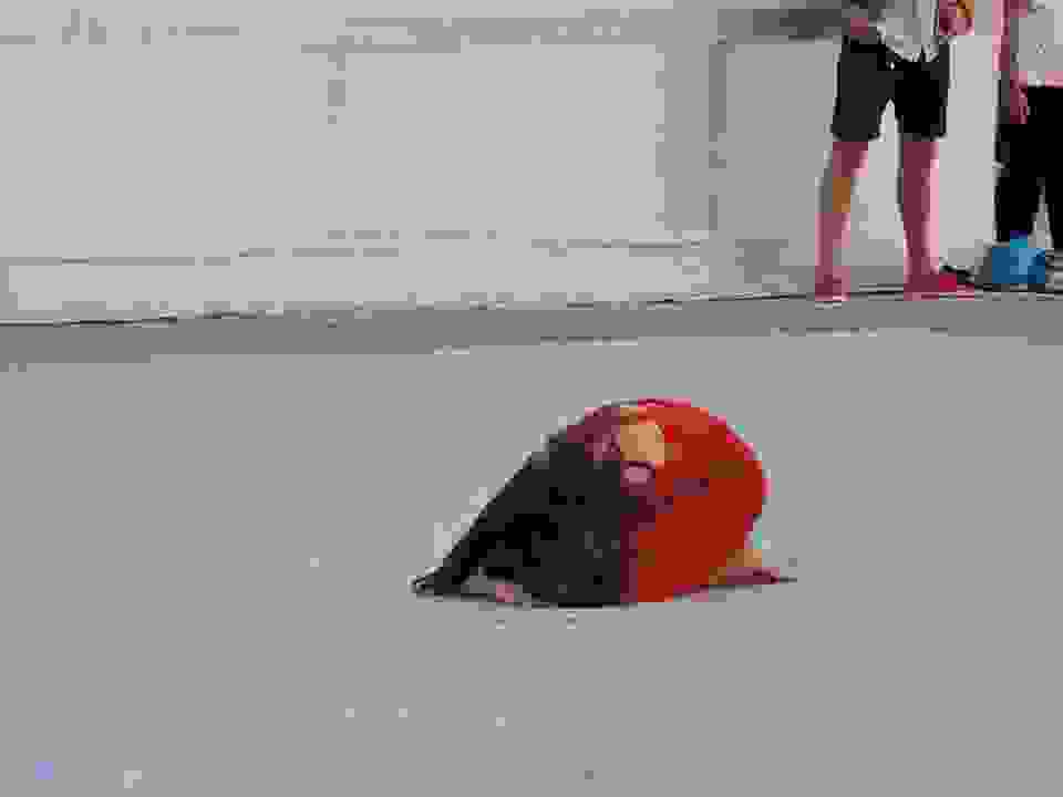an3