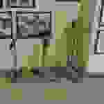 an4