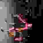 an43