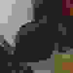 an48