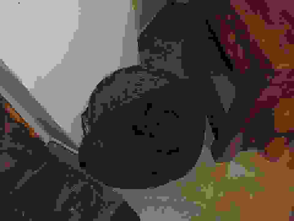 an48