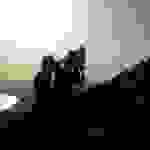 an5