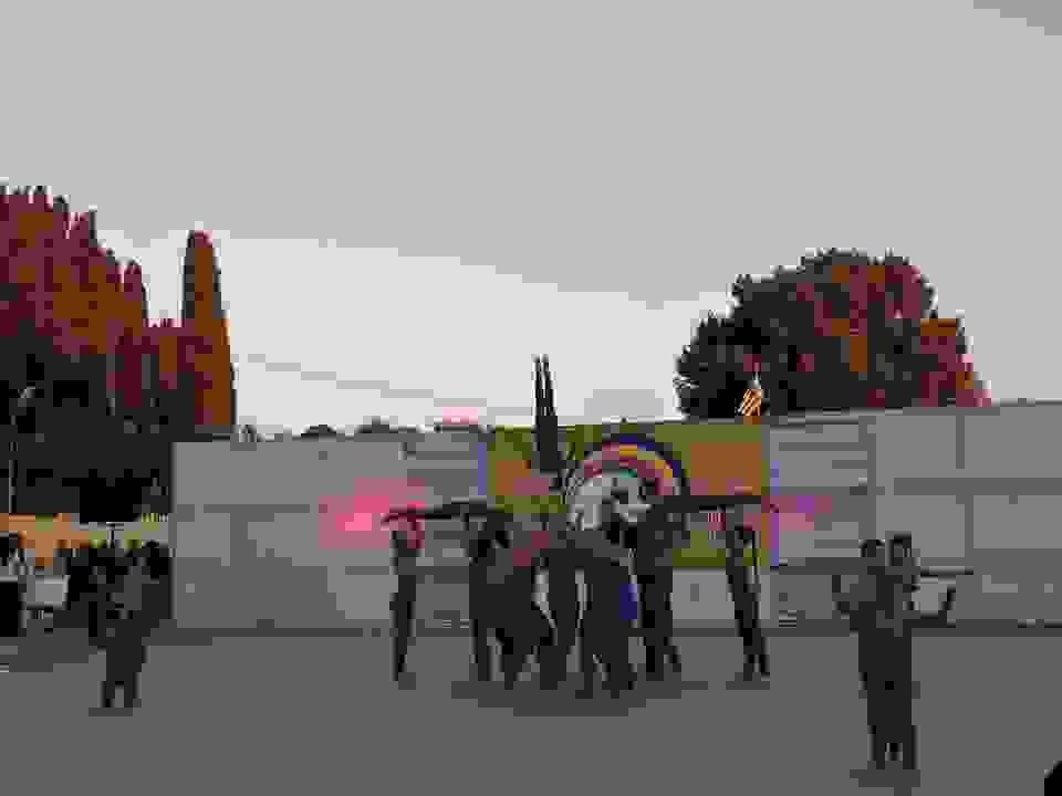 an5