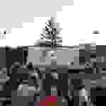 an53
