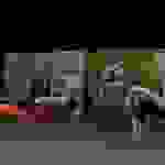 an5