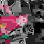 an55