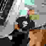 an59