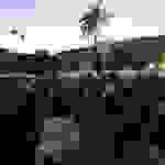 an59