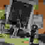 an61