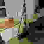 an6