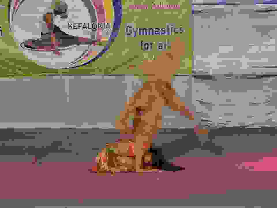 an6
