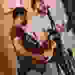 an69