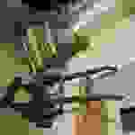 an7