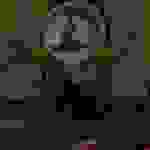 an8