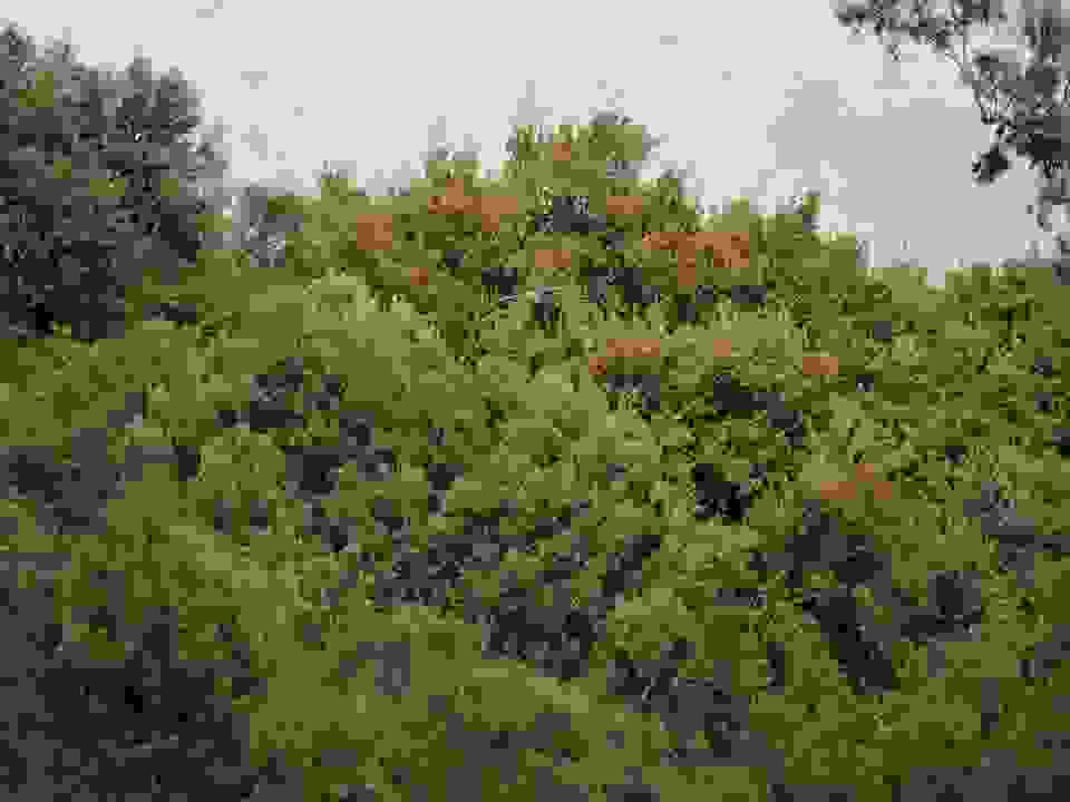 an9